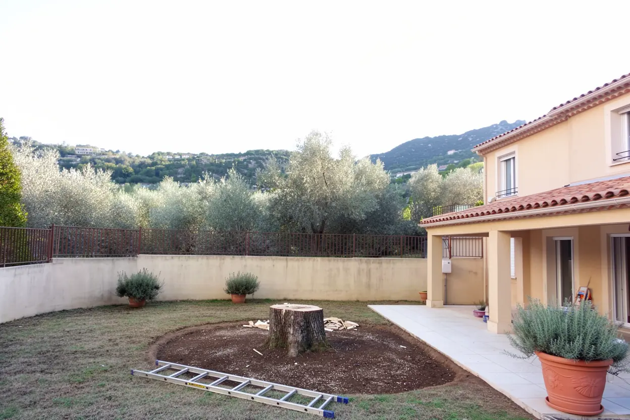 Terrasse dégagée après abattage du pin à Aubagne