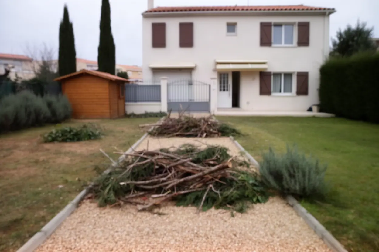 Bois mort dispersé dans un jardin à Septèmes-les-Vallons